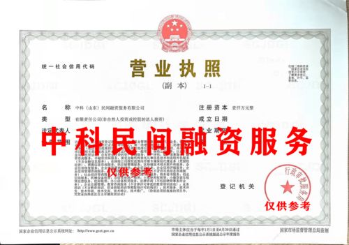 中科山东民间融资服务公司股权转让中的技术咨询与技术服务